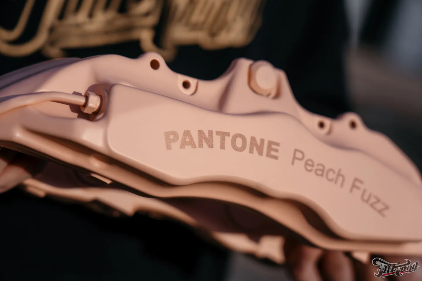 Суппорта в цвете 2024 года от Pantone Peach Fuzz